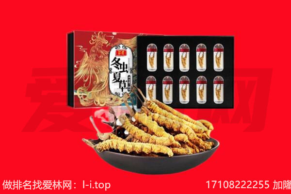 都昌县回收虫草.jpg